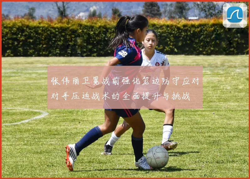 张伟丽卫冕战前强化笼边防守应对对手压迫战术的全面提升与挑战