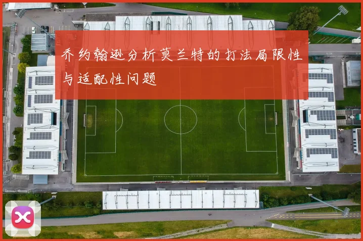 乔约翰逊分析莫兰特的打法局限性与适配性问题
