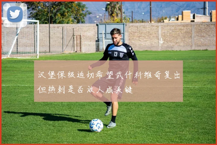 汉堡保级迫切希望武什科维奇复出但热刺是否放人成关键